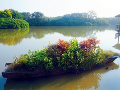 -大湾区中央湿地公园