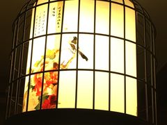 -杨记隆府(重庆总店)