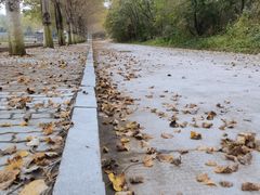 -哈尔滨北方森林动物园