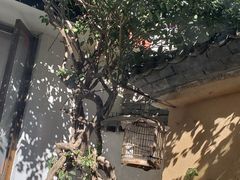 -浔岚云舍mist静谧观景美宿(丽江古城店)