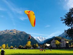 -绝味鸭脖(平山道店)