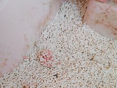 -瑞派福兴宠物医院犬猫全科·骨科·中西医结合(河东店)