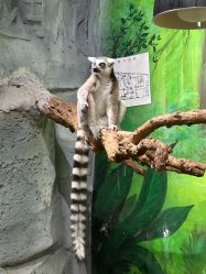 -Zoolung Zoolung动物主题公园(海信广场店)