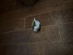 -水墨澜渟足道·SPA·传统(四望亭东关街店)