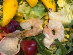 芒果牛油果大虾色拉-乐意坊Alla Torre意大利手工披萨(陆家嘴旗舰店)