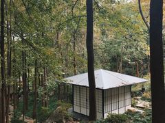 -中国茶叶博物馆(双峰馆区)