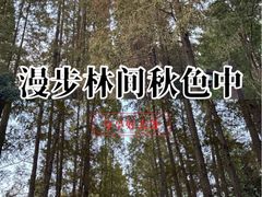 -上海植物园-4号门售票处