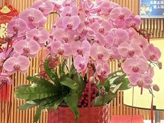 -手佳·水疗汇(杏林宁宝店)