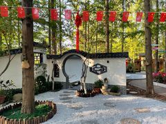 -东平国家森林公园