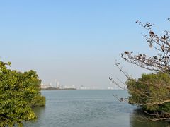 -深圳湾公园(南山区)