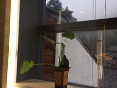 -九华山聚龙大酒店