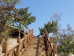 -大岭沟猕猴桃谷风景区