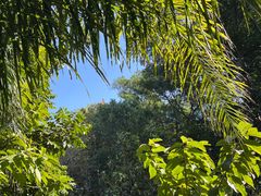 -深圳仙湖植物园