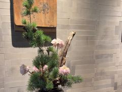 -曲水兰亭(北京四惠店)