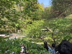 -神户市立六甲山牧场