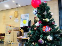 -阿九笨鸡蛋手擀面(总店)