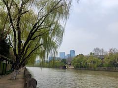 -运河游船(武林门码头)