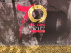 -三里屯东五街银杏大道