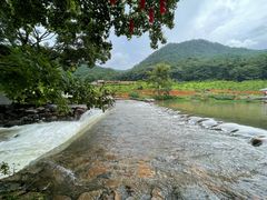 -广州市石门国家森林公园