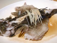 清蒸笋壳鱼-利苑酒家(华熙国际店)