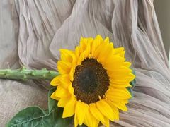 -海纳百川(义乌店)