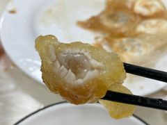 -福园东北菜饺子铁锅炖
