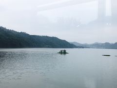 -千岛湖品鱼馆(钓鱼岛店)