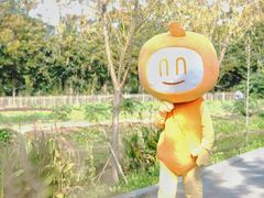 -前小桔亲子创意农场·草莓采摘·露营烧烤