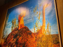 -四小姐的店(泉舜店)