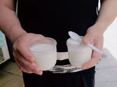 -洪馨椰子