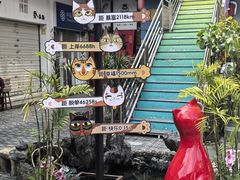 -猫咪博物馆(顶澳仔猫街店)