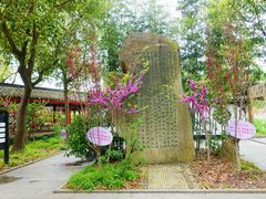 -南汇桃花村