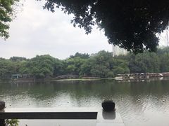 -沙湾姜埋奶(兴新包店)
