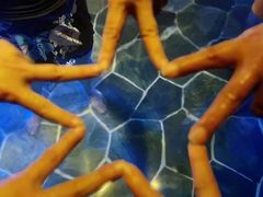 -韶关经律论国际酒店温泉