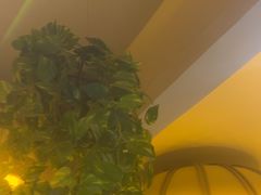 -蒙古人烤羊大师·绿野餐厅(工农大路店)
