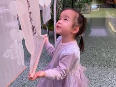 -淮扬府·游园京梦(成都 SKP 店)