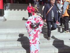 -东京浅草和服体验江户和装工房雅(浅草本店)