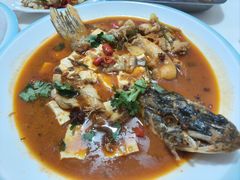 -煲来饱去冷水鱼