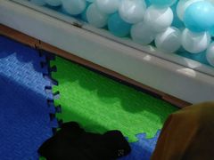 -蒙特利亲子乐园