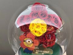 -ROSEONLY诺誓(青岛万象城店)