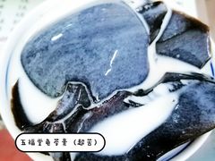 -五福堂龟苓膏(河东北山店)