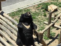 -大连森林动物园