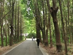 -同里国家湿地公园