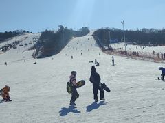 -东北亚滑雪场