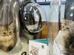 -瑞派·关忠动物医院·异宠专科·犬猫肿瘤·皮肤专科(望京店)