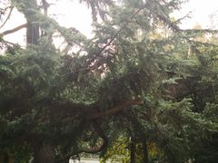 -上海安亭别墅花园酒店