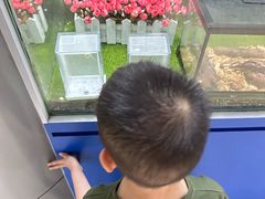 -上海昆虫博物馆