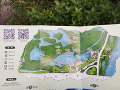 -大亚湾红树林城市湿地公园