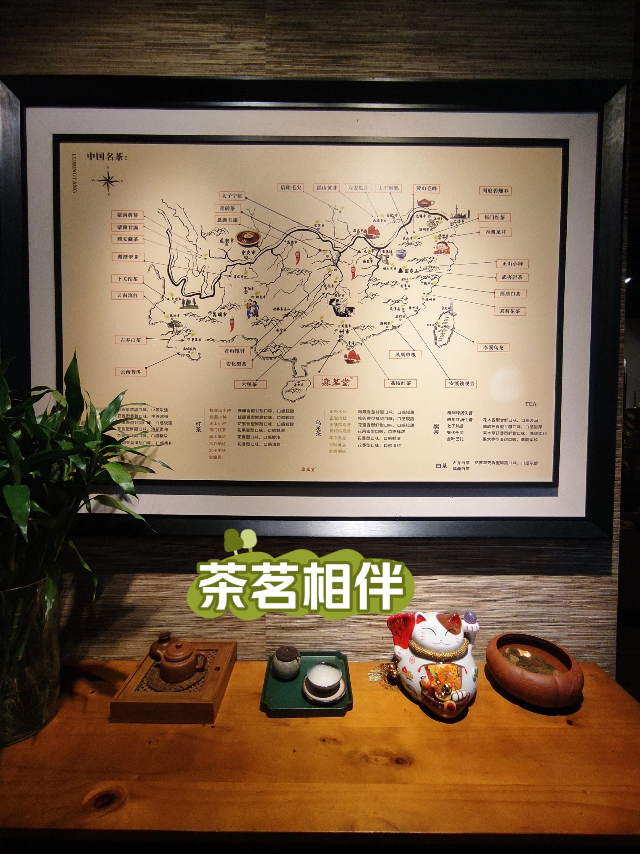 🍵漉茗堂茶社 | 邂逅功夫茶的美好时光✨