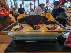 -视界美食自助餐厅·石家庄希尔顿酒店